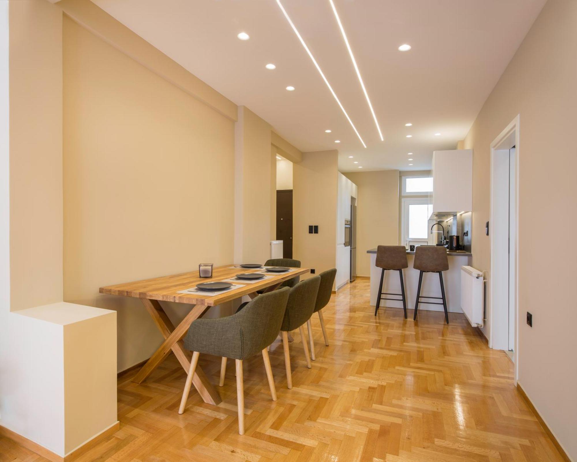Urban Spacious Apartment Near Kallimarmaron Atina Dış mekan fotoğraf