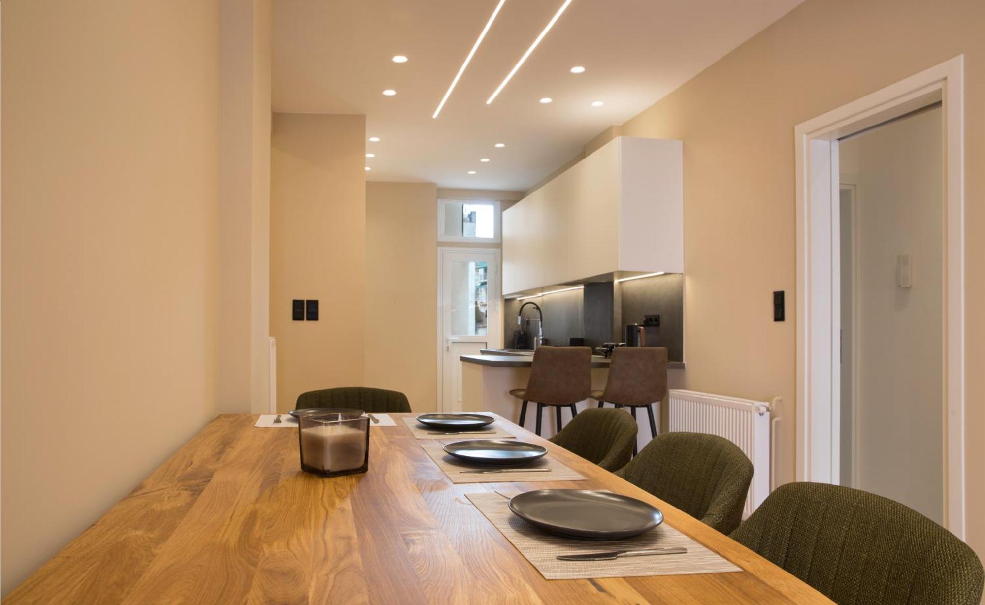 Urban Spacious Apartment Near Kallimarmaron Atina Dış mekan fotoğraf