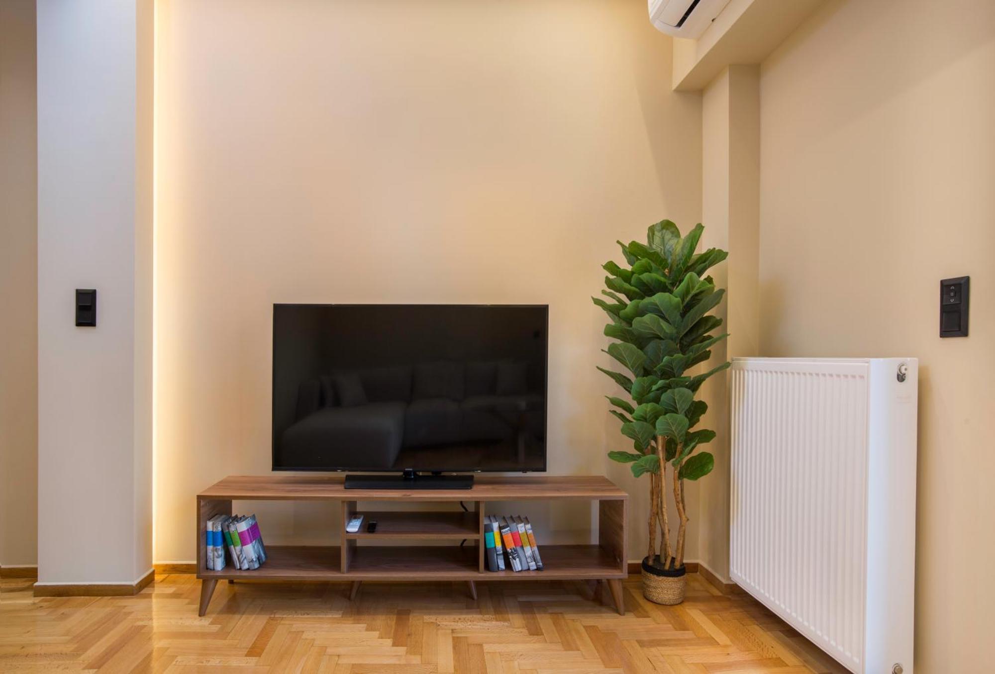 Urban Spacious Apartment Near Kallimarmaron Atina Dış mekan fotoğraf